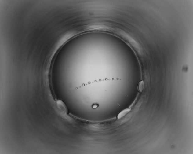 X0000103441330200809121354