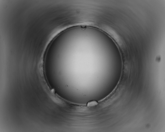 X0000103441332200809121354