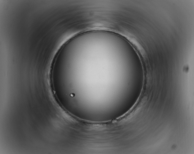 X0000103441333200809121354