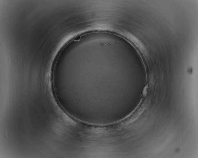 X0000103441334200809121354