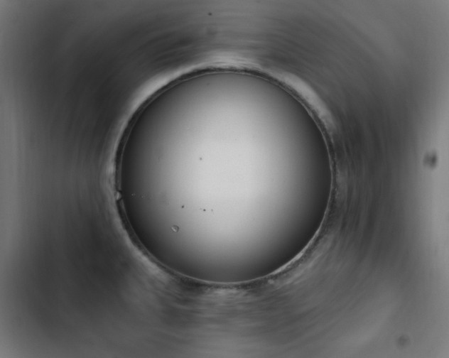 X0000103441335200809121354