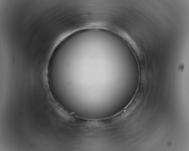 X0000103441336200809121354