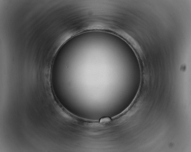 X0000103441337200809121354