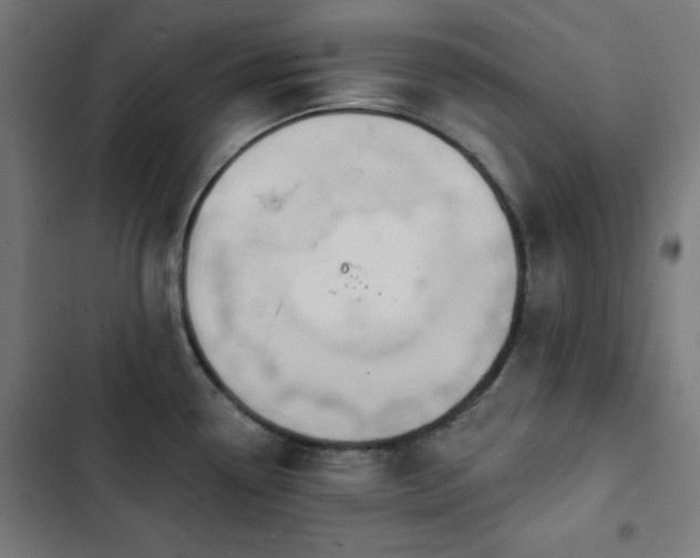X0000103441338200809121354