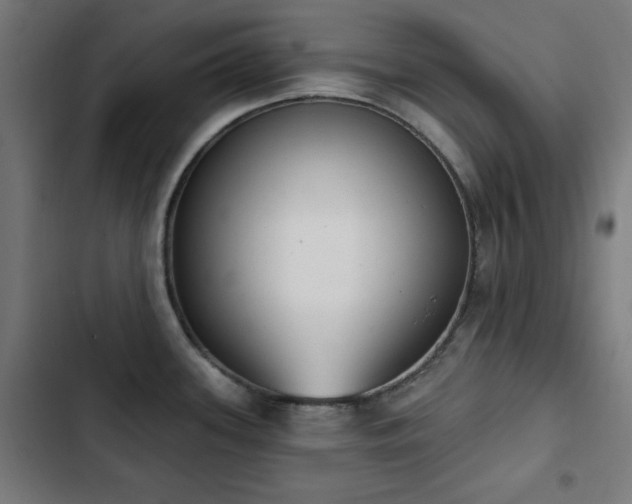 X0000103441339200809121354