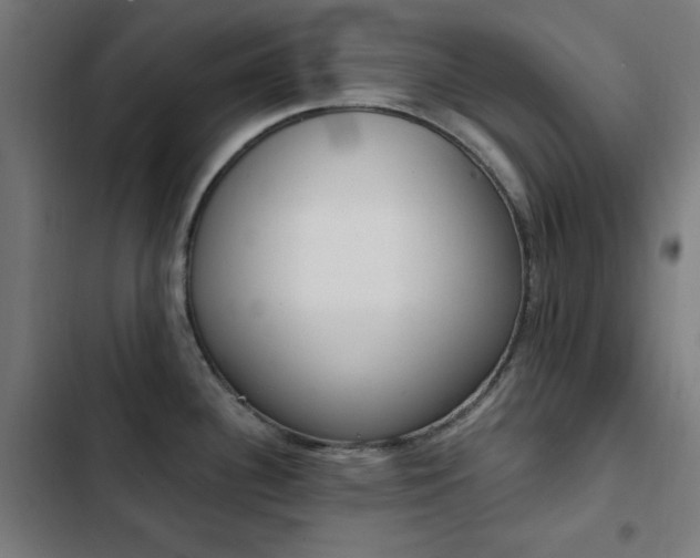 X0000103441340200809121354