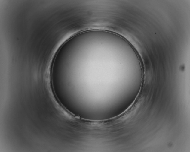 X0000103441341200809121354