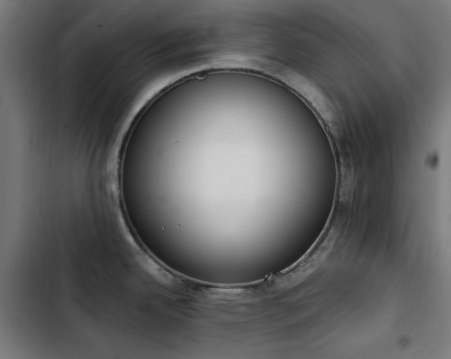 X0000103441342200809121354
