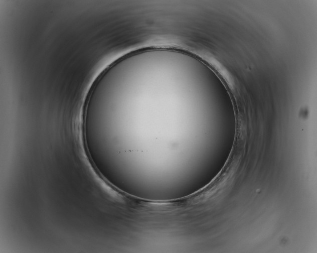 X0000103441343200809121354