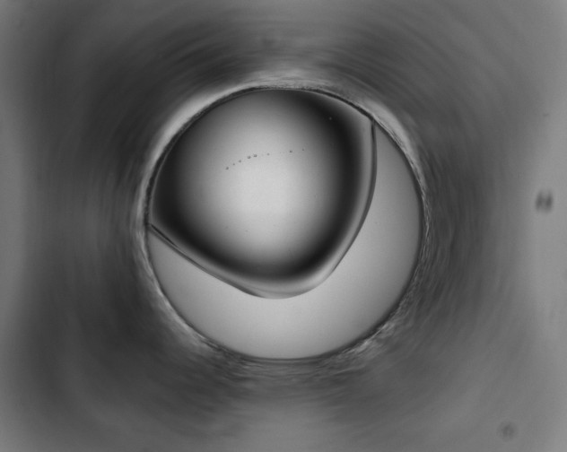 X0000103441344200809121354