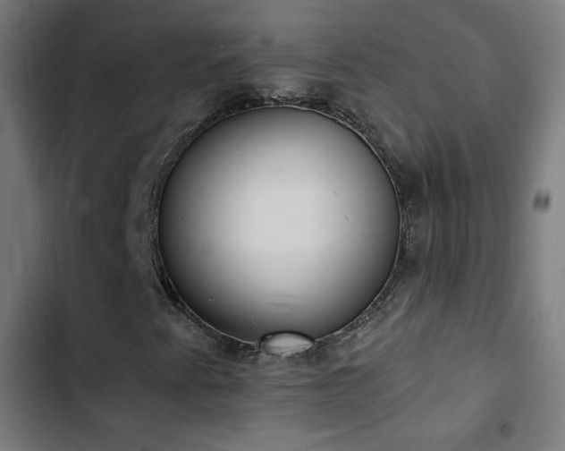 X0000103441345200809121353