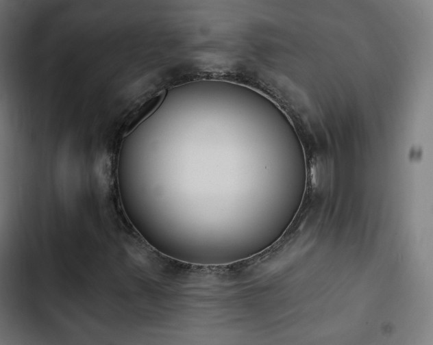 X0000103441347200809121353