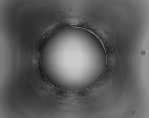 X0000103441349200809121353