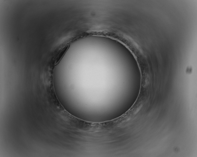 X0000103441350200809121353