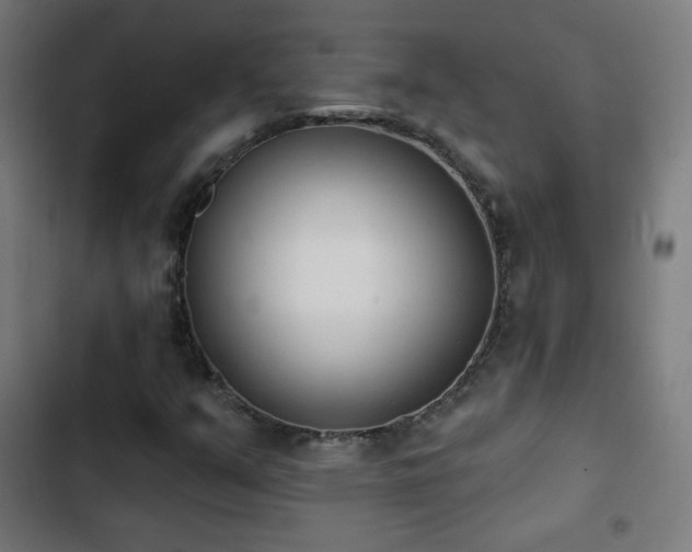X0000103441351200809121353