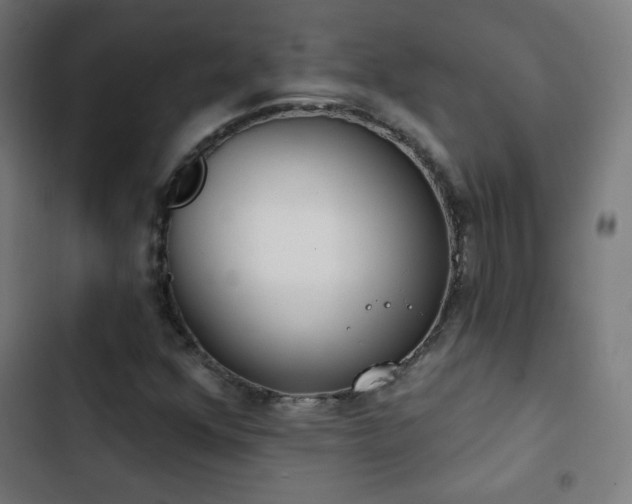 X0000103441352200809121353