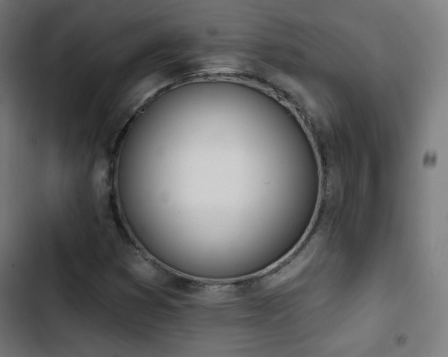 X0000103441353200809121353