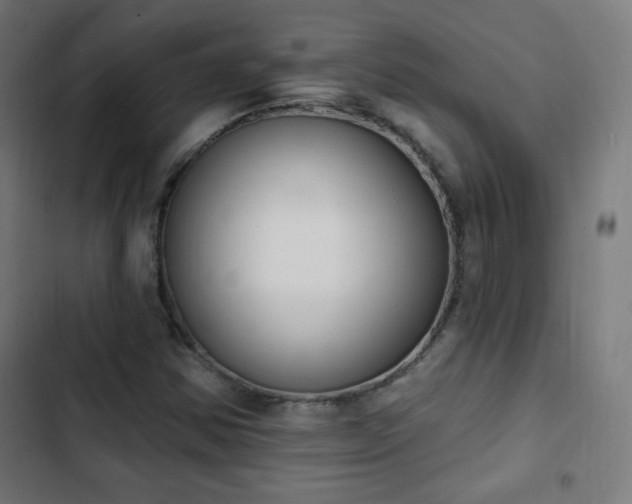 X0000103441354200809121353