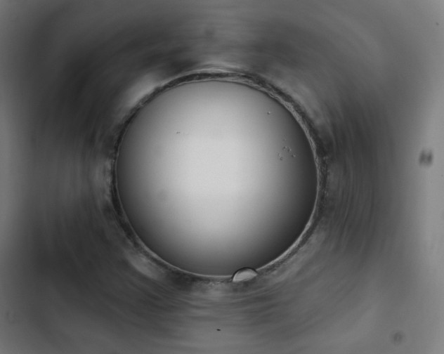X0000103441355200809121353