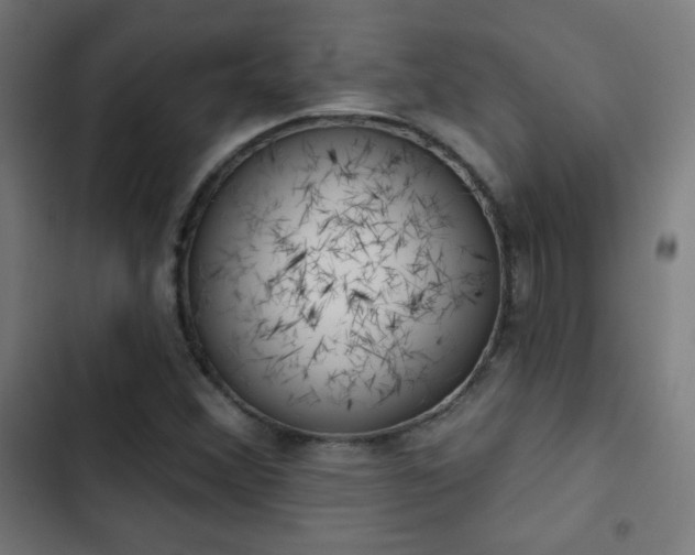 X0000103441356200809121353