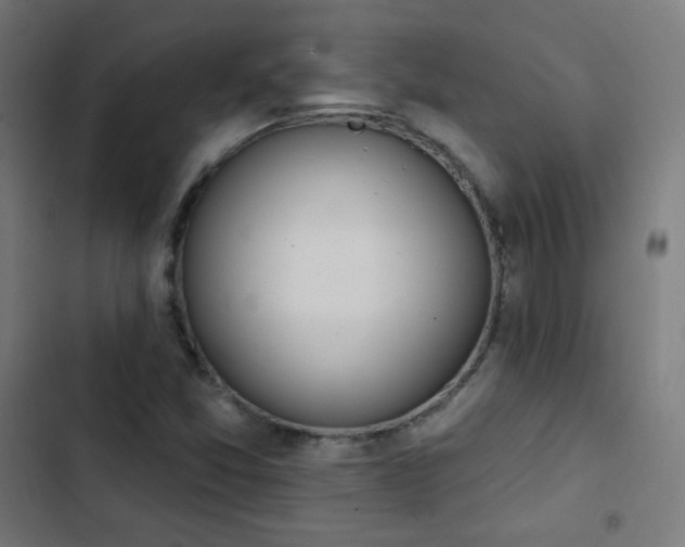 X0000103441357200809121353