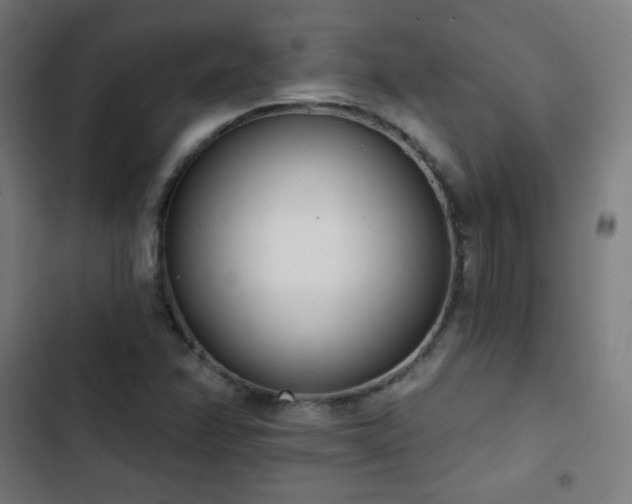 X0000103441358200809121353