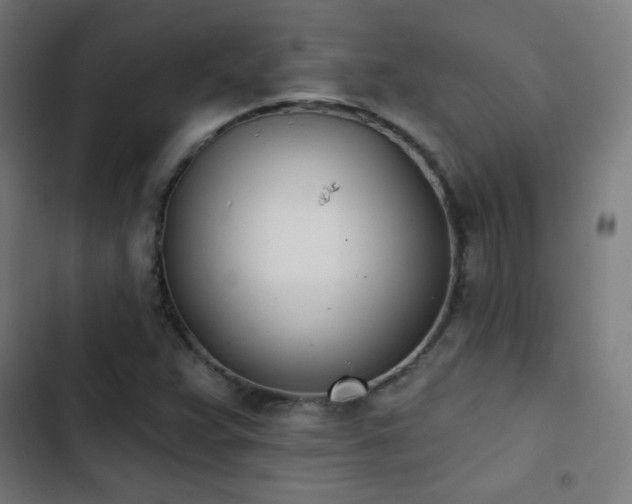X0000103441359200809121353
