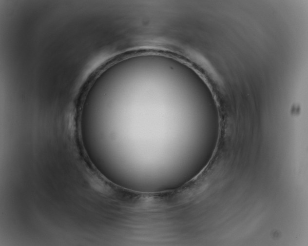 X0000103441360200809121353
