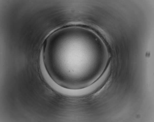X0000103441361200809121353