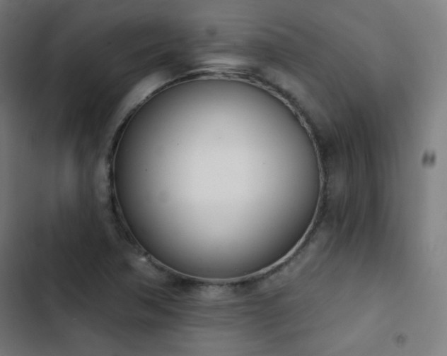 X0000103441362200809121353
