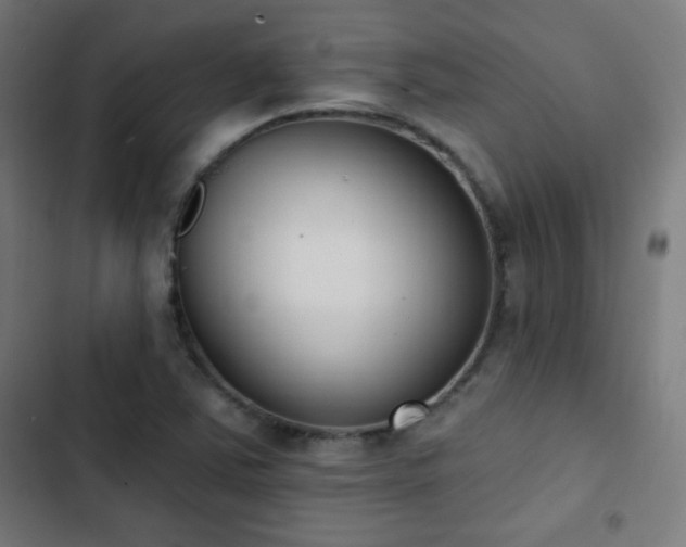 X0000103441363200809121353
