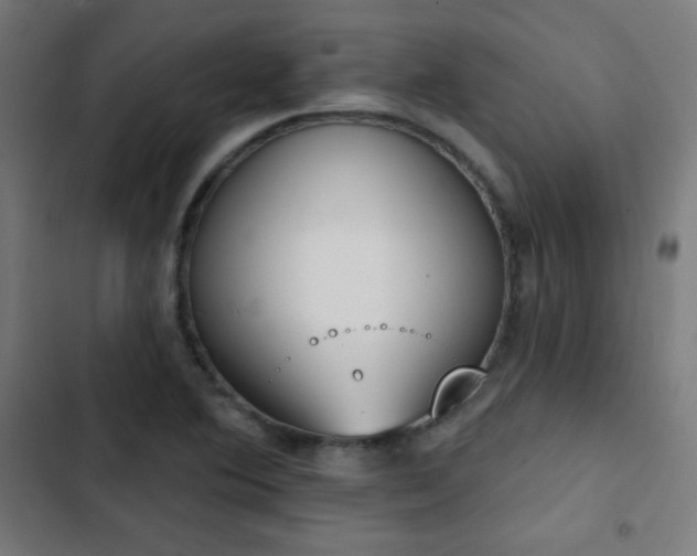 X0000103441364200809121353