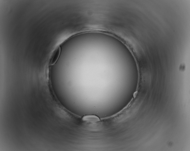 X0000103441365200809121353