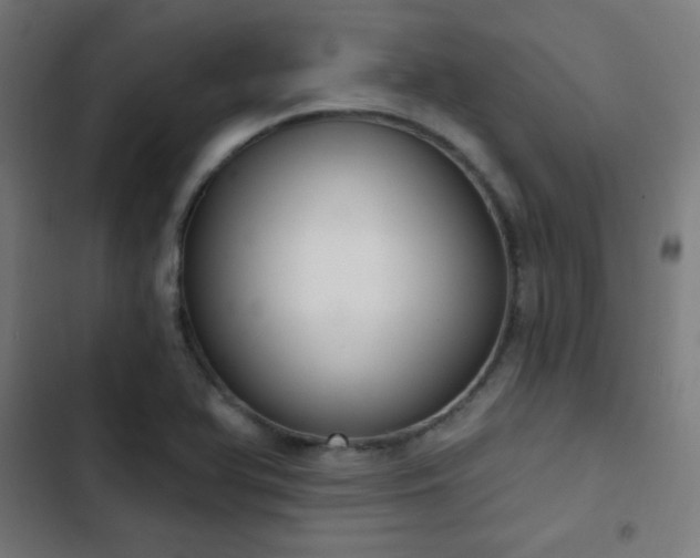 X0000103441366200809121353