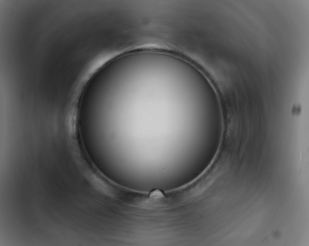 X0000103441367200809121353