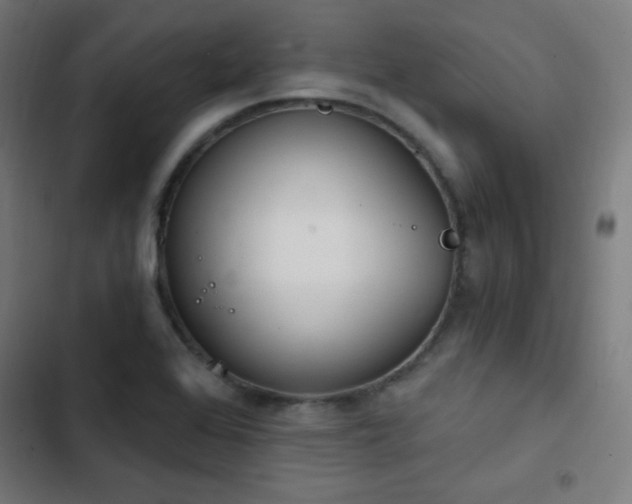 X0000103441368200809121353