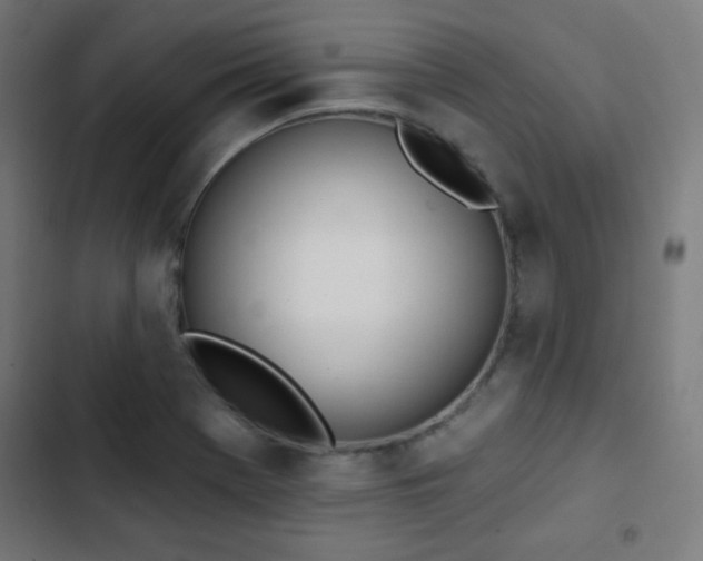 X0000103441369200809121353