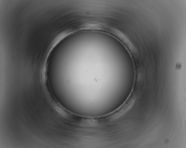 X0000103441370200809121353