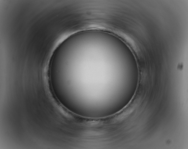 X0000103441373200809121353