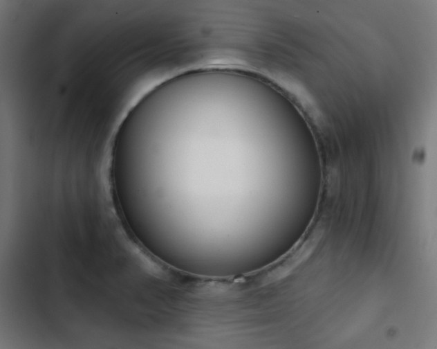 X0000103441374200809121353