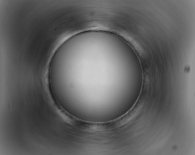 X0000103441375200809121353