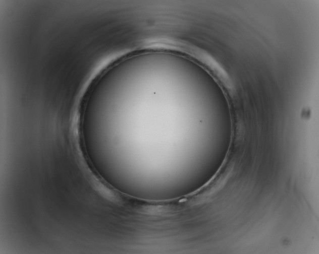 X0000103441376200809121353