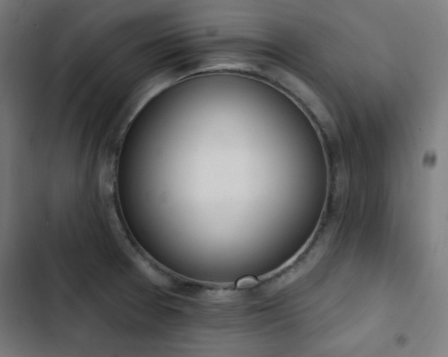 X0000103441377200809121353