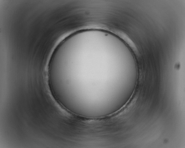 X0000103441380200809121352