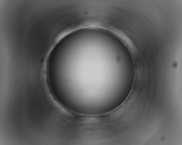 X0000103441382200809121352