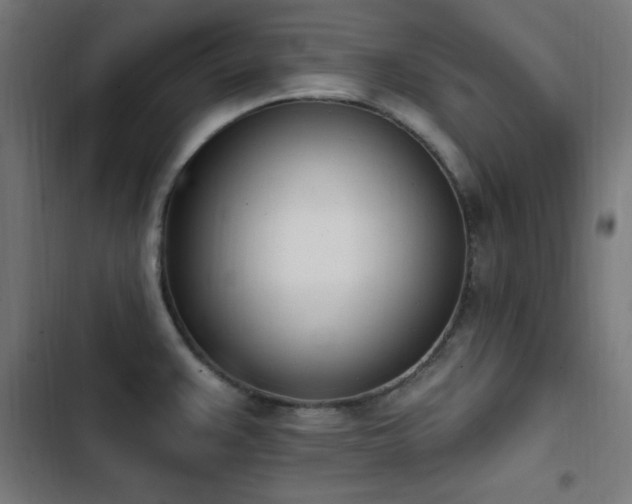 X0000103441383200809121352
