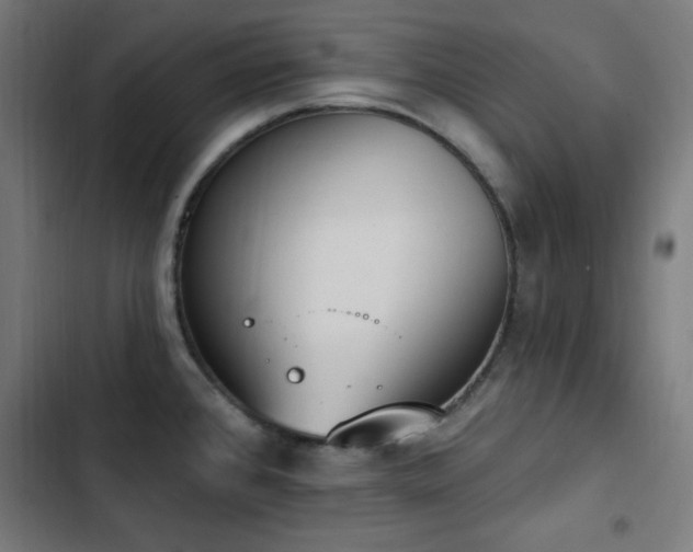 X0000103441384200809121352