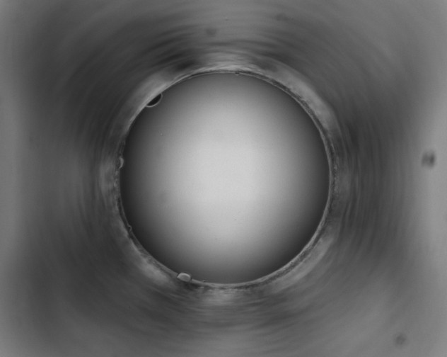 X0000103441385200809121352