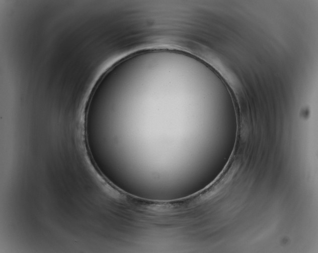 X0000103441388200809121352