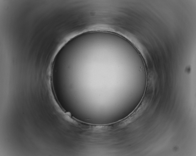 X0000103441390200809121352